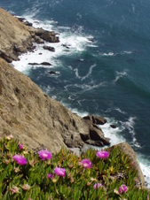 Enlarge photo 547