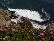 Enlarge photo 548