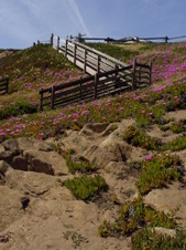 Enlarge photo 551