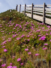 Enlarge photo 552