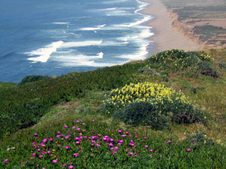 Enlarge photo 433