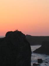 Enlarge photo 324