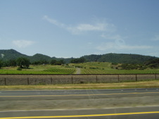 Enlarge photo 221