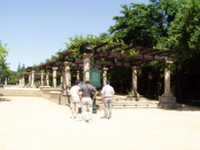 Enlarge photo 224