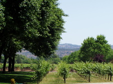 Enlarge photo 226