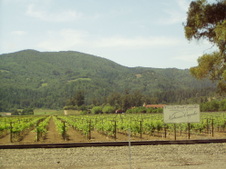 Enlarge photo 227