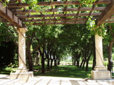 Enlarge photo 229