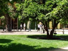 Enlarge photo 231
