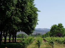 Enlarge photo 233