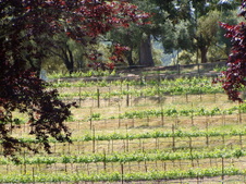 Enlarge photo 234