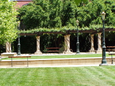 Enlarge photo 235