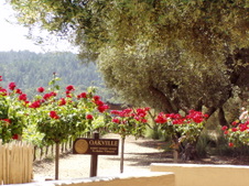 Enlarge photo 244