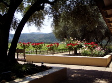 Enlarge photo 245