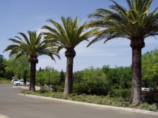 Enlarge photo 252
