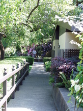 Enlarge photo 262