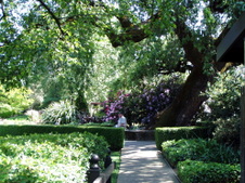 Enlarge photo 263