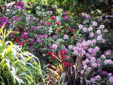 Enlarge photo 268