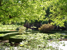 Enlarge photo 273