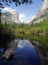 Enlarge photo 561