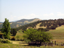 Enlarge photo 562