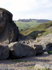 Enlarge photo 312