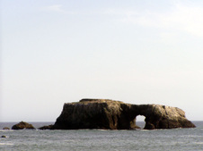 Enlarge photo 313