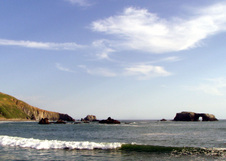 Enlarge photo 316