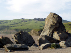 Enlarge photo 317