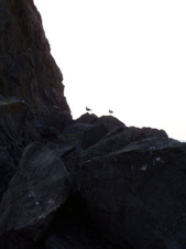 Enlarge photo 318