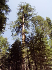 Enlarge photo 567