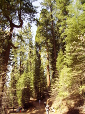 Enlarge photo 568
