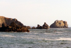 Enlarge photo 319