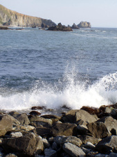 Enlarge photo 320