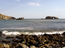 Enlarge photo 321