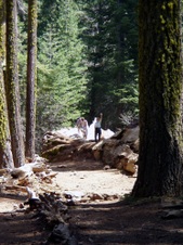 Enlarge photo 574