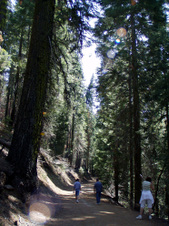 Enlarge photo 585