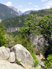 Enlarge photo 589