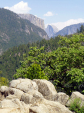 Enlarge photo 590