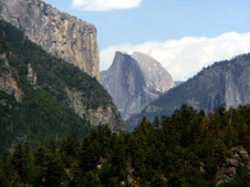 Enlarge photo 591