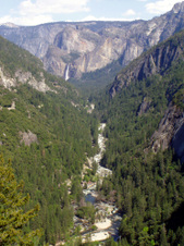 Enlarge photo 593