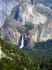 Enlarge photo 595