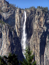 Enlarge photo 605