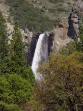 Enlarge photo 607