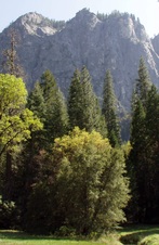 Enlarge photo 612
