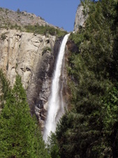 Enlarge photo 616