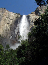 Enlarge photo 618