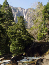 Enlarge photo 619