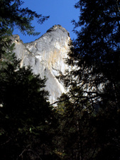 Enlarge photo 621