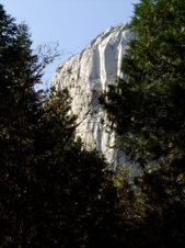 Enlarge photo 623