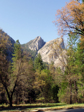 Enlarge photo 626